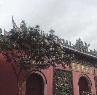 顺盈娱乐：助力公益活动建设，实现经济效益与社会效益的双赢！